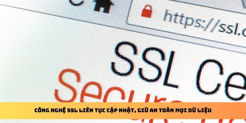 Công nghệ SSL liên tục cập nhật, giữ an toàn mọi dữ liệu