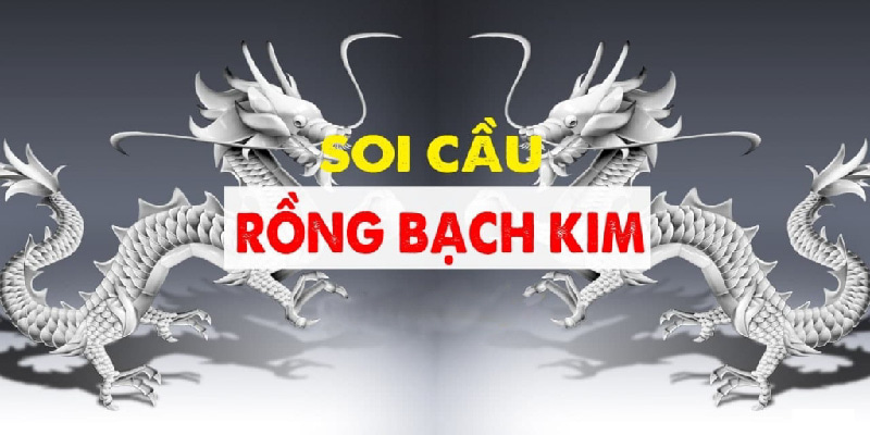 Soi Cầu Rồng Bạch Kim - Phương Pháp Dự Đoán Xổ Số Chuẩn Xác