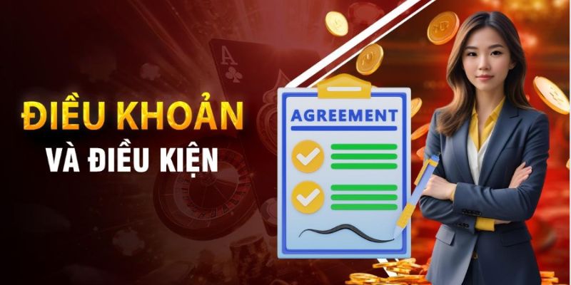 Khám phá tổng quan nội dung điều khoản và điều kiện